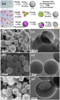 Polydopamine-Derived Carbon: What a Critical Role for Lithium Storage?